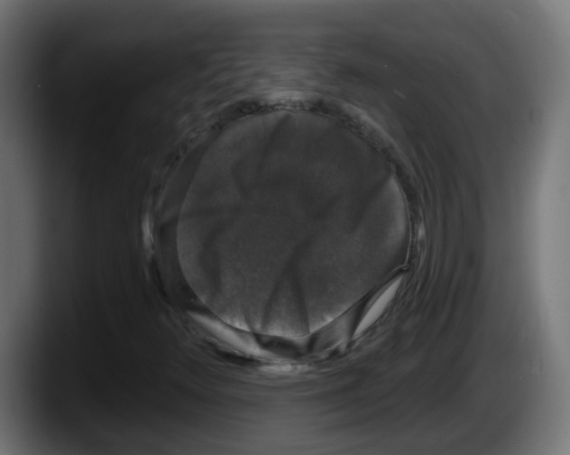 X0000087571348200705251812