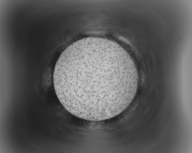 X0000087571350200705251812