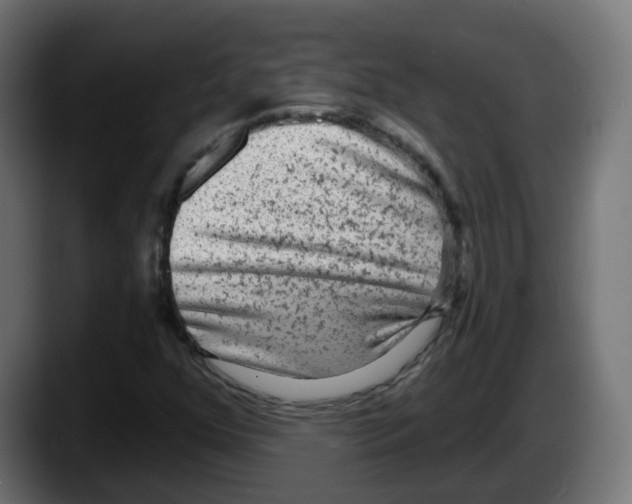 X0000087571352200705251812