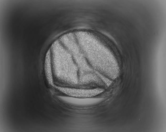 X0000087571359200705251812