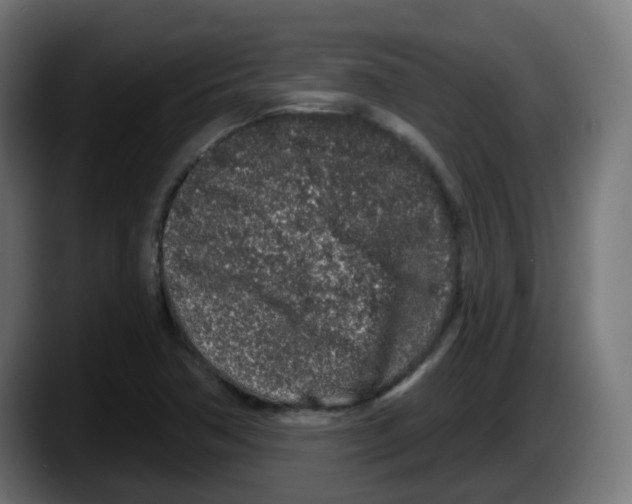 X0000087571362200705251812