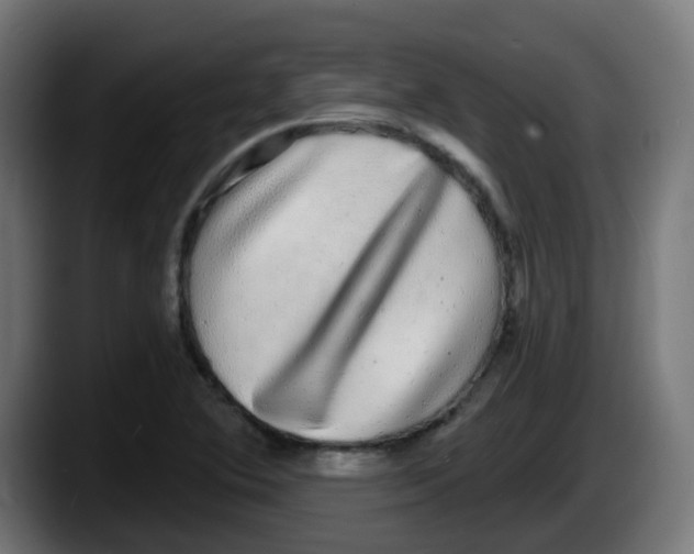 X0000087571364200705251812