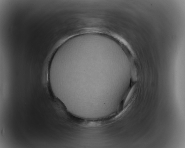 X0000087571365200705251812