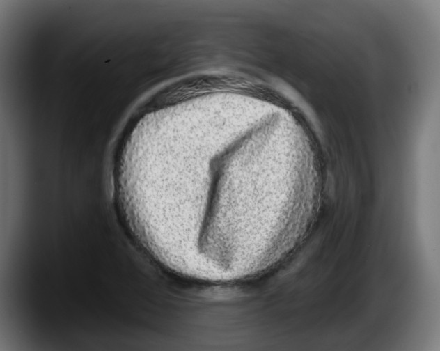 X0000087571368200705251812