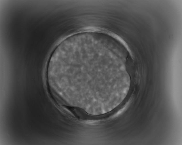 X0000087571373200705251812