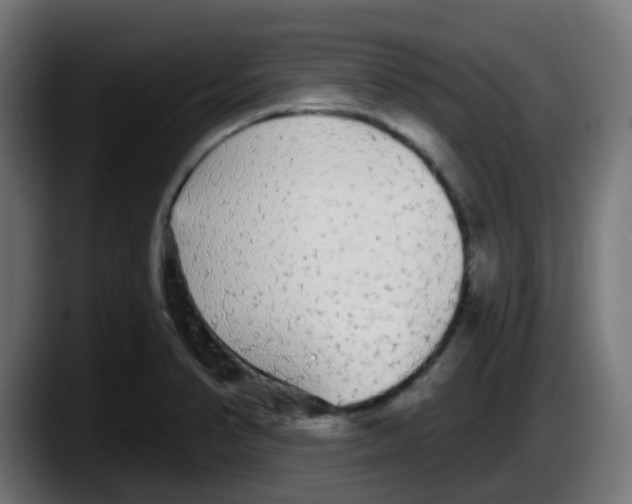 X0000087571374200705251812