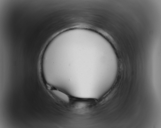 X0000087571375200705251812