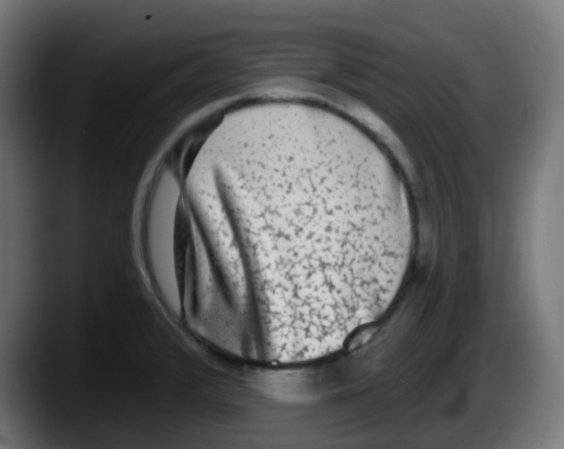 X0000087571376200705251812