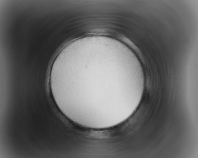 X0000087571378200705251812