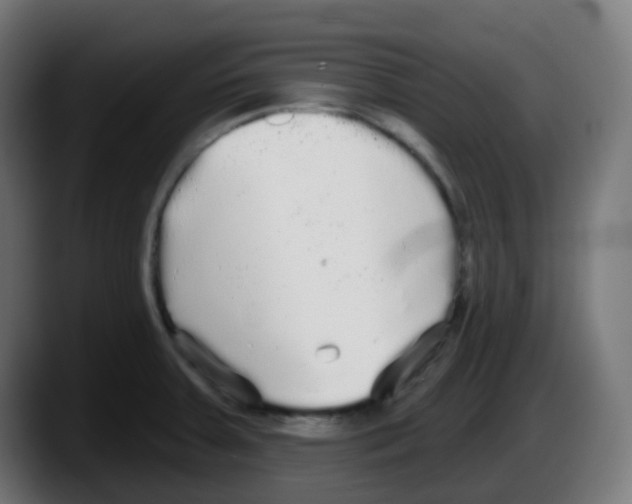 X0000087571379200705251812