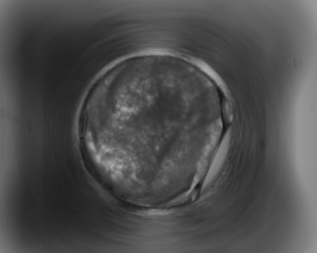 X0000087571380200705251812