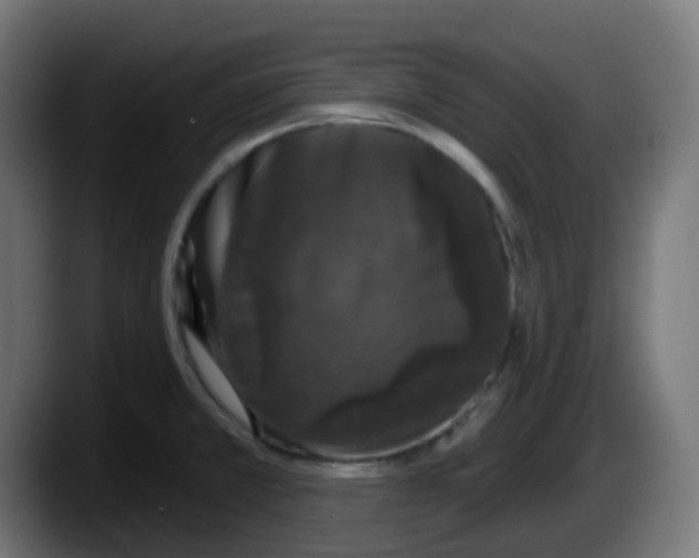 X0000087571381200705251812