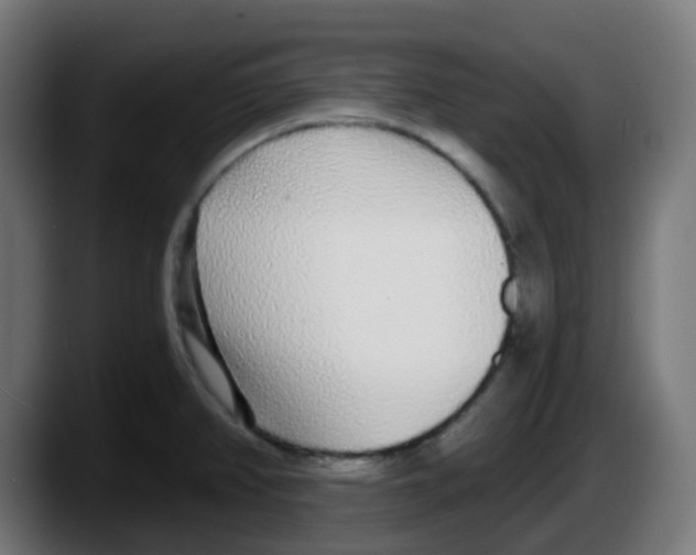 X0000087571382200705251812