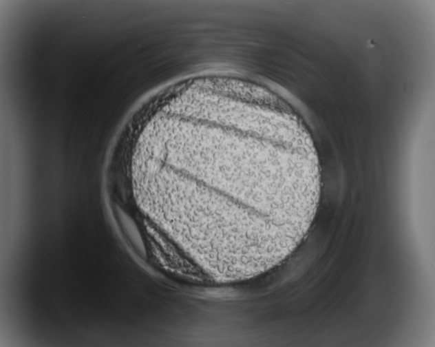 X0000087571383200705251812