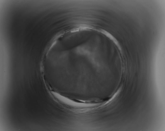 X0000087571385200705251811