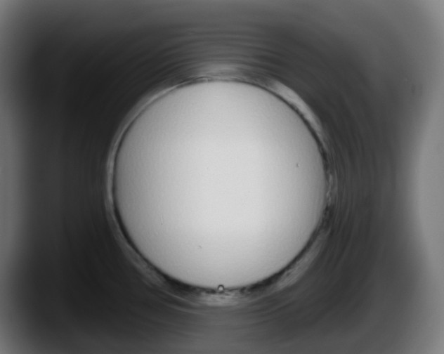 X0000087571386200705251811