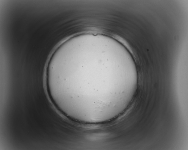 X0000087571387200705251811