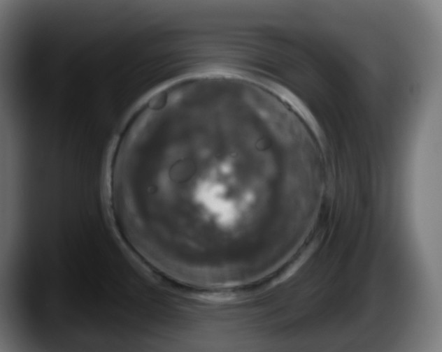 X0000087571388200705251811