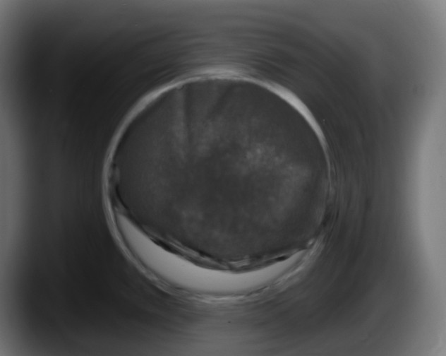 X0000087571389200705251811