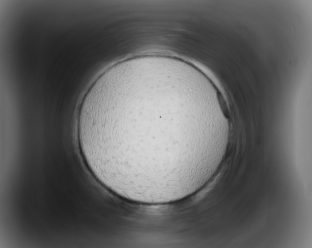 X0000087571390200705251811