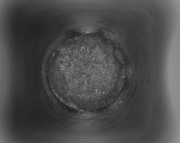 X0000087571393200705251811