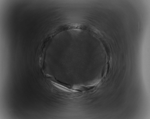 X0000087571394200705251811