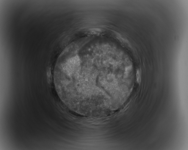 X0000087571395200705251811