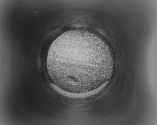 X0000087571398200705251811