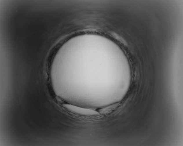 X0000087571400200705251811