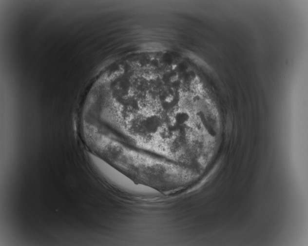 X0000087571401200705251811