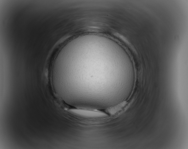 X0000087571402200705251811