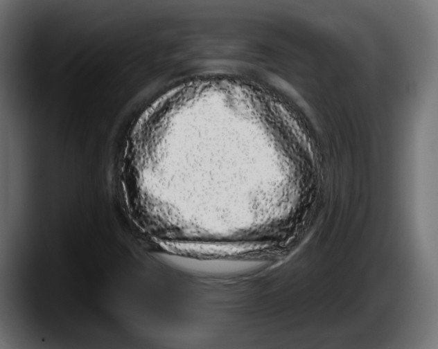 X0000087571403200705251811