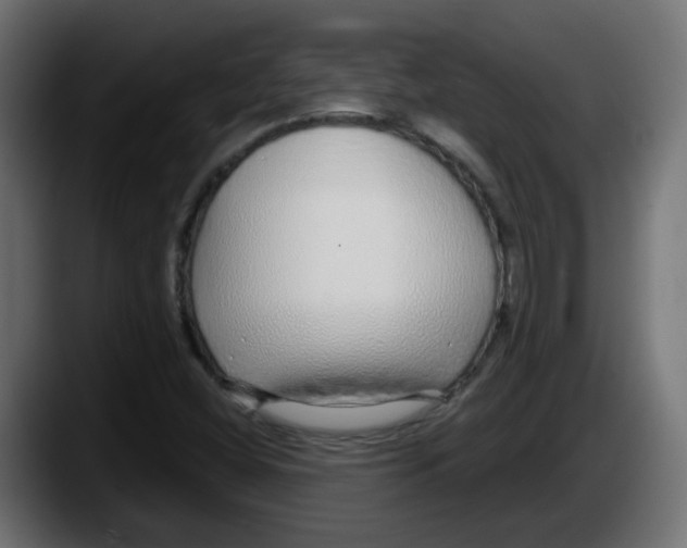 X0000087571404200705251811