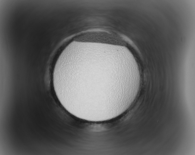 X0000087571408200705251811