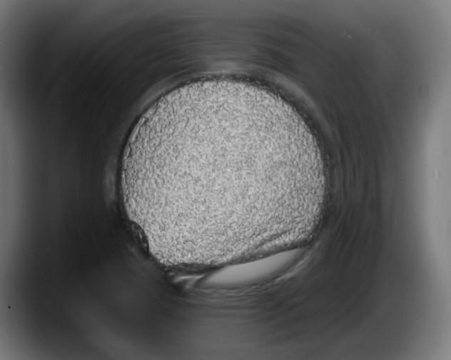 X0000087571409200705251811