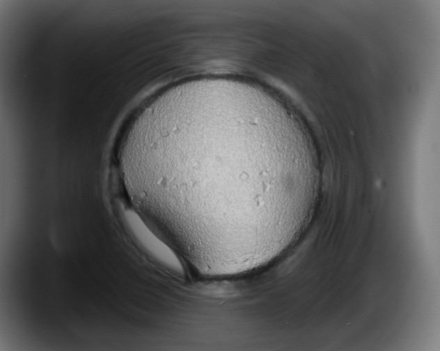 X0000087571410200705251811