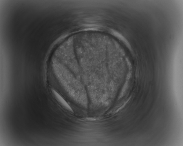 X0000087571411200705251811