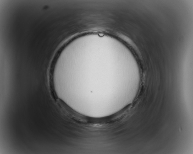 X0000087571412200705251811