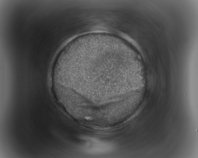 X0000087571415200705251811