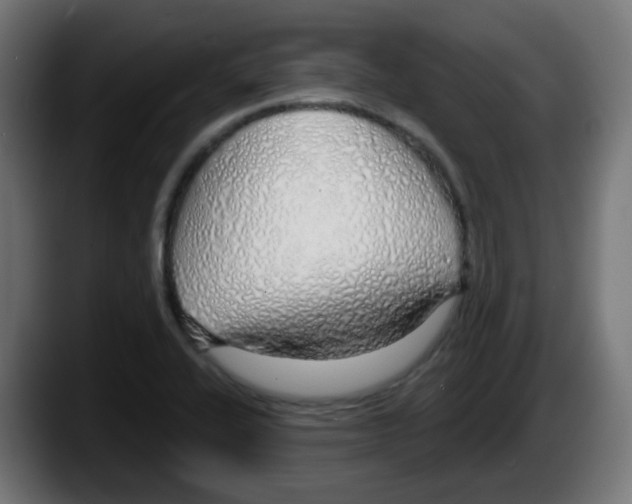 X0000087571416200705251811