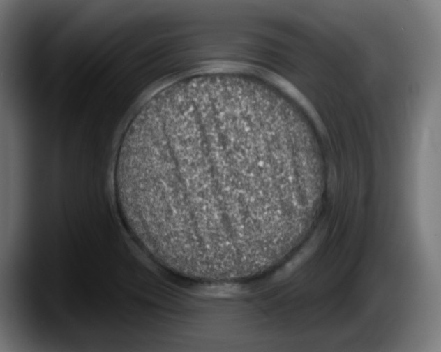 X0000087571417200705251811