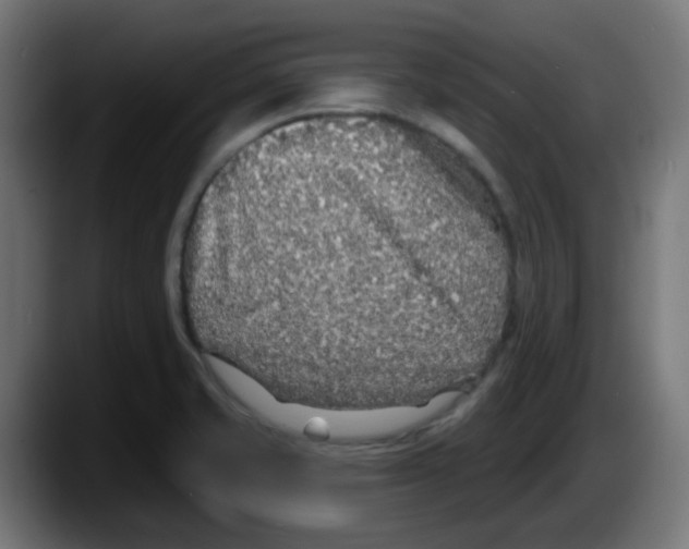 X0000087571421200705251811