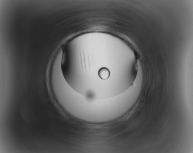 X0000087571422200705251811