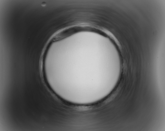 X0000087571424200705251811