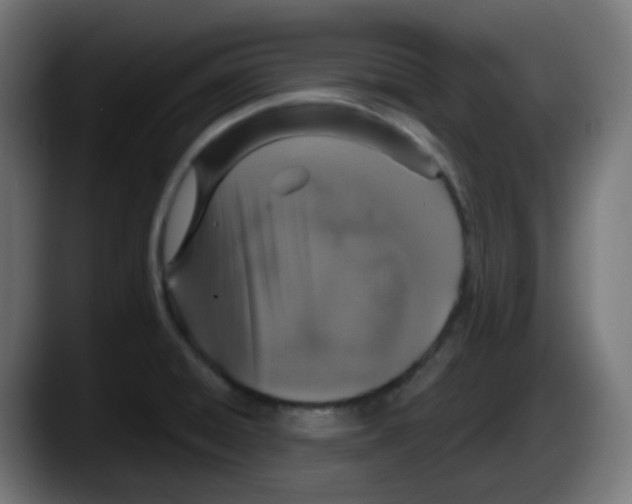 X0000087571428200705251811