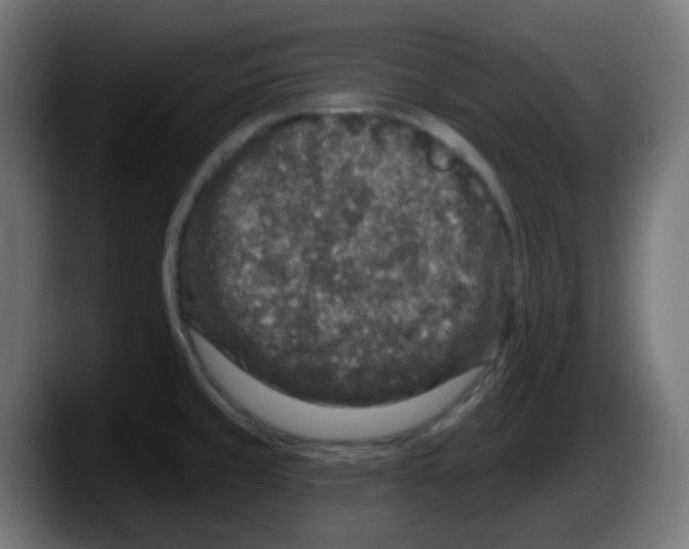 X0000087571429200705251811