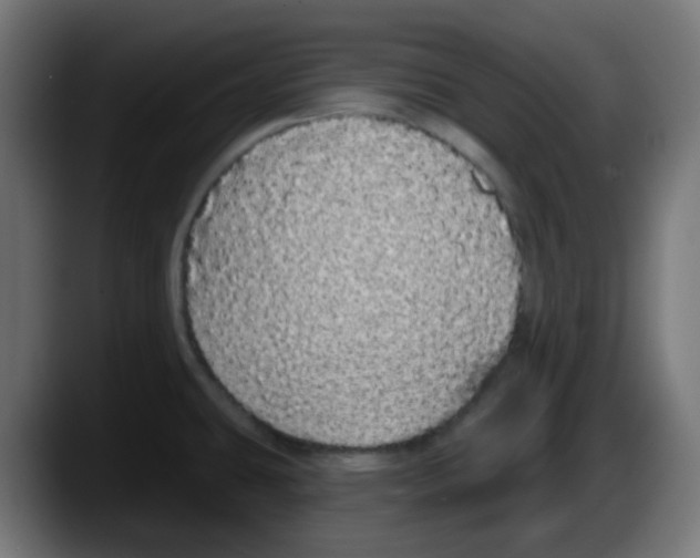 X0000087571431200705251811