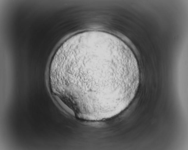 X0000087571432200705251811