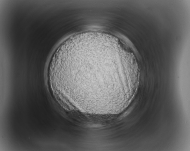 X0000087571435200705251811