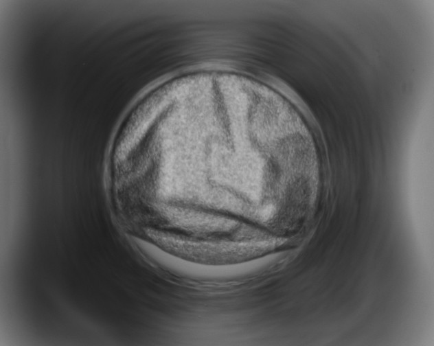 X0000087571436200705251811